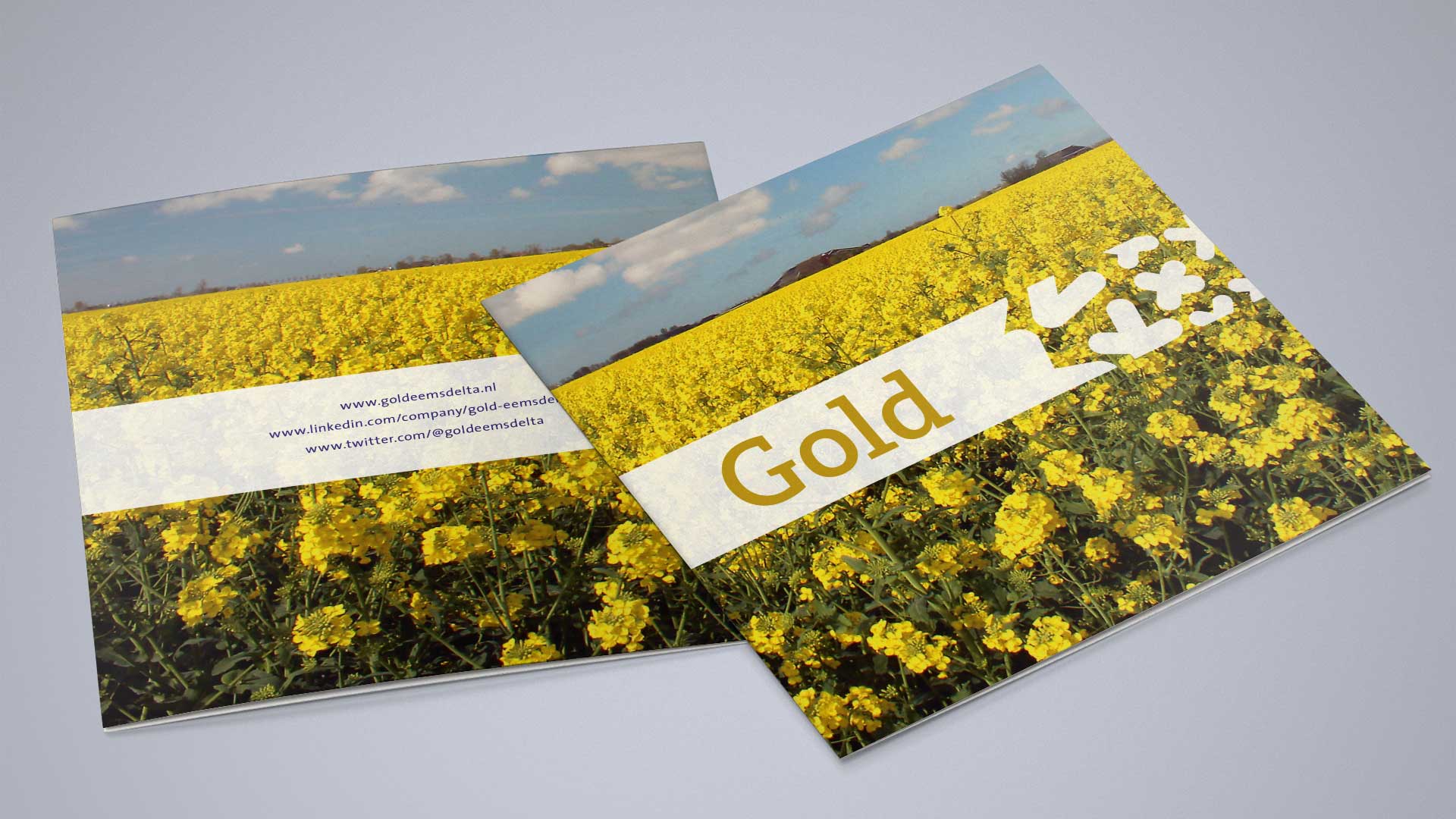 ontwerp uitnodiging geboorte Gold